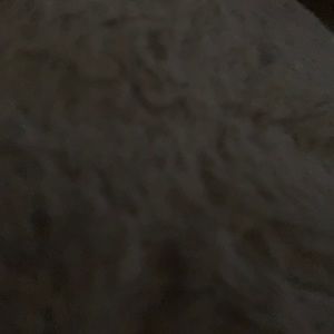 Meet your Posher, Zeasia